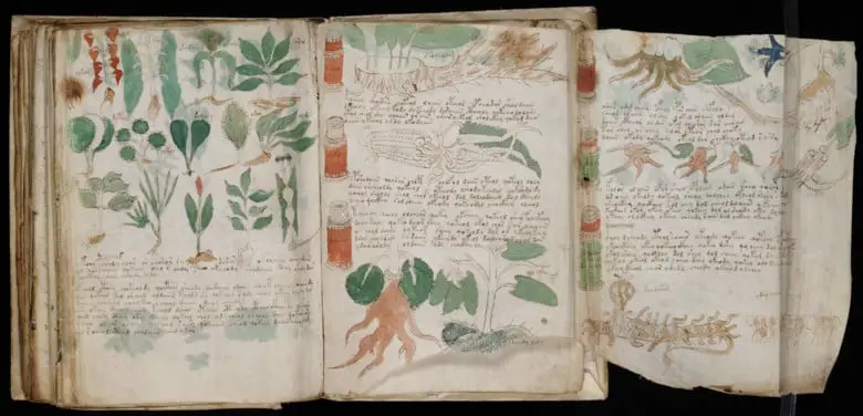 The Voynich Manuscript: A 600-Year-Old Scientific Mystery and Battle for Egos