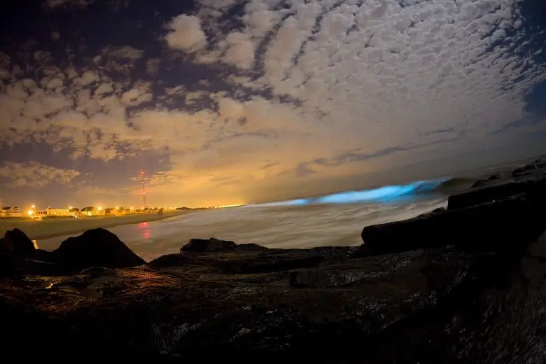 bioluminescent sunset