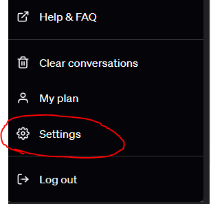 A screenshot showing the Settings button on ChatGPT