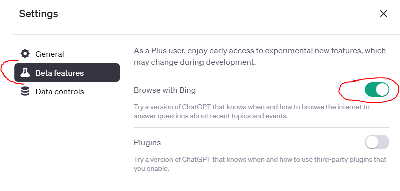A screenshot showing the beta features and browse with bing functions in ChatGPT