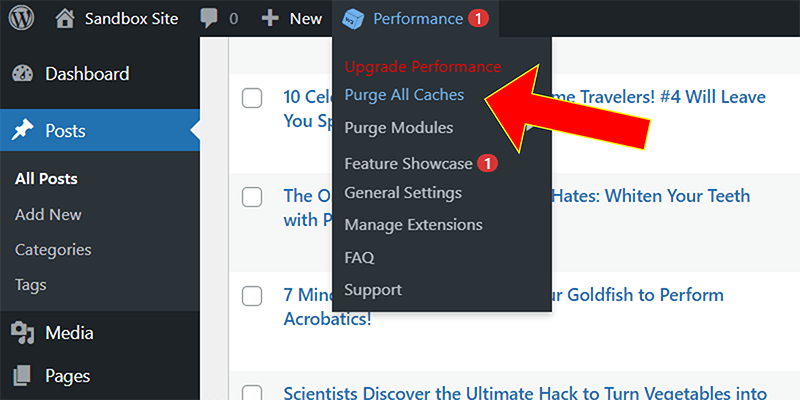 how to clear the cache w3 total cache