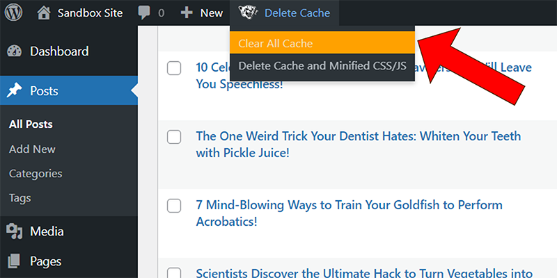 how to clear the cache wp fastest cache