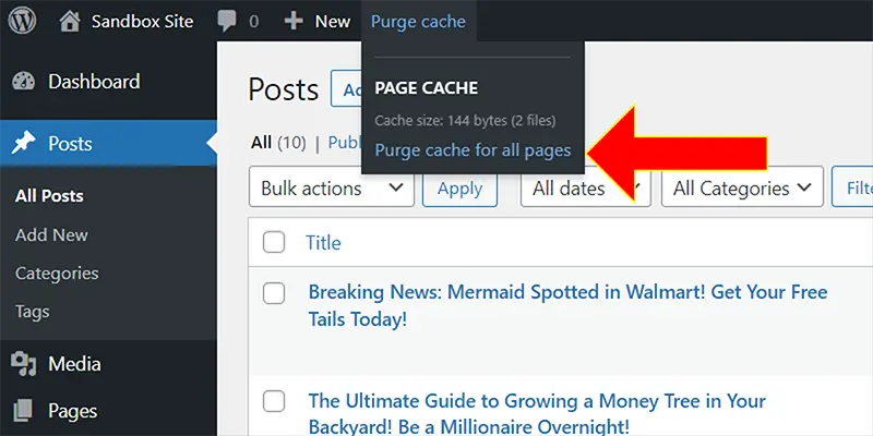 how to clear the cache wp optimize